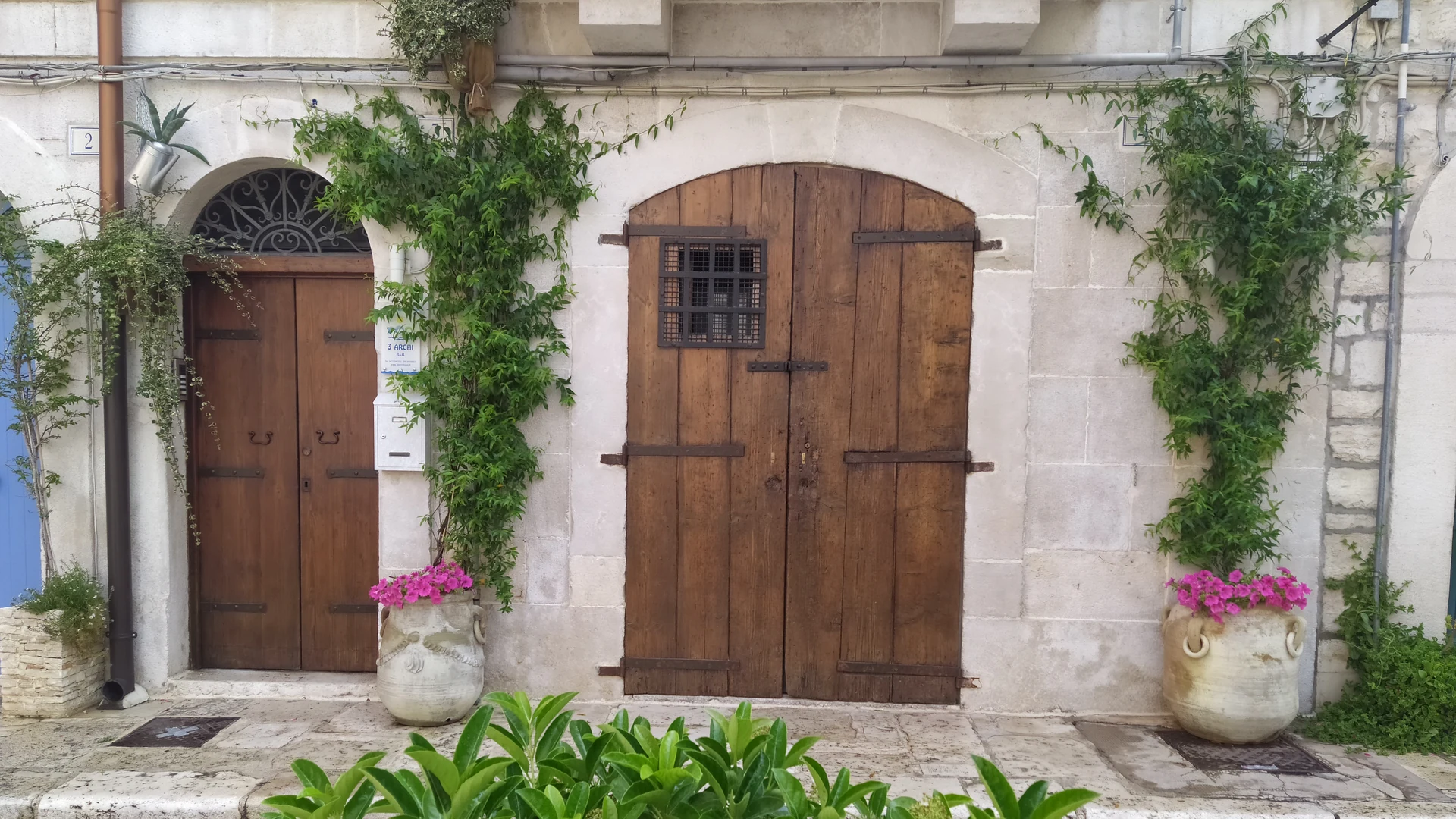 L&rsquo;ingresso del 3 Archi B&B tra piante e fiori, a Trani