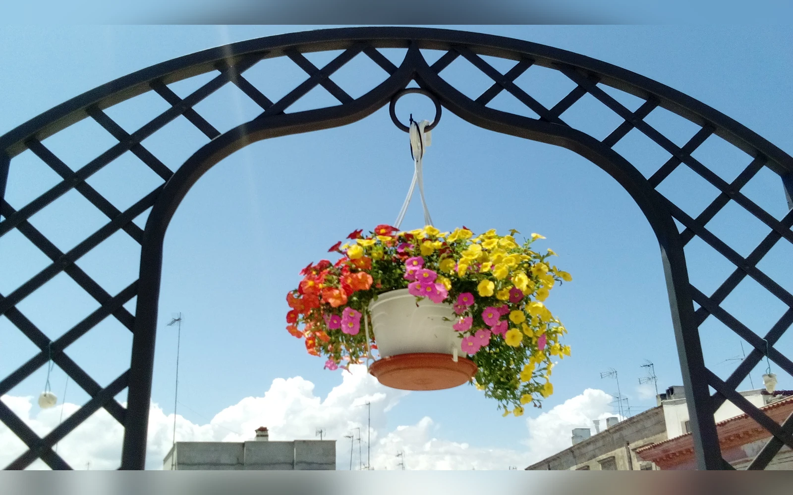 3 Archi B&B, Trani (Puglia) — galleria foto 75